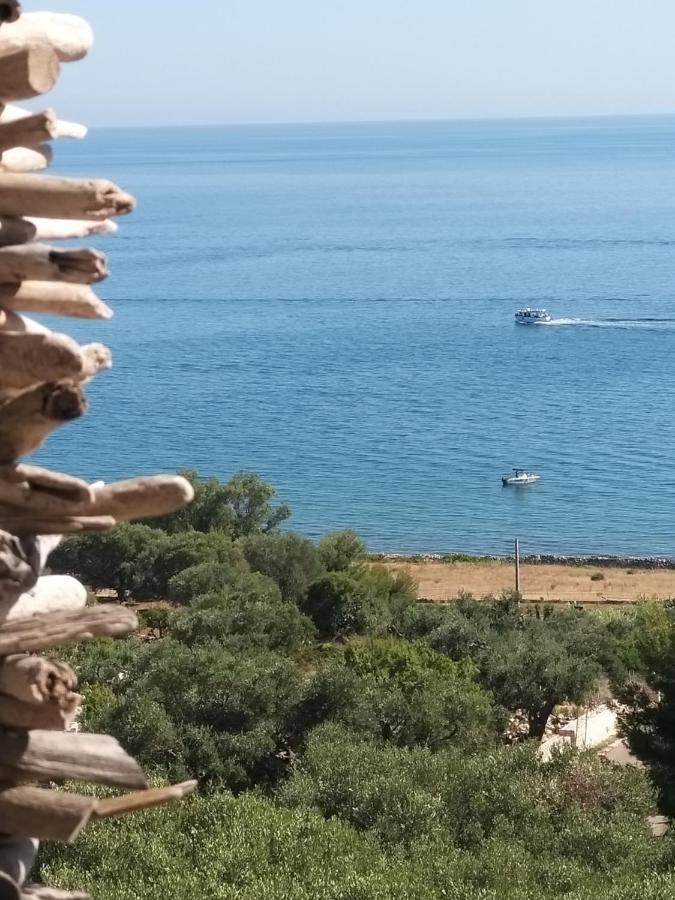 La Torre Di Merlino 파투 외부 사진